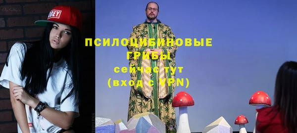 сатива Арсеньев