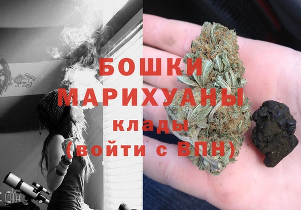сатива Арсеньев