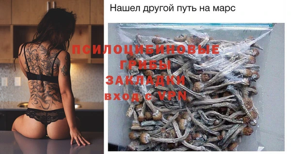 сатива Арсеньев