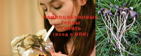 индика Армянск