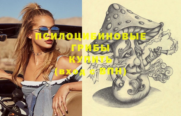 индика Армянск