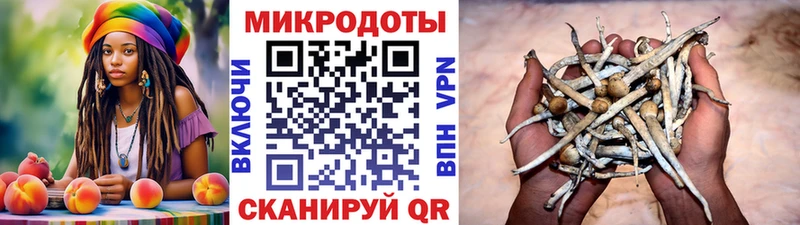 Псилоцибиновые грибы ЛСД Юрьевец